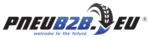 Logo PneuB2B